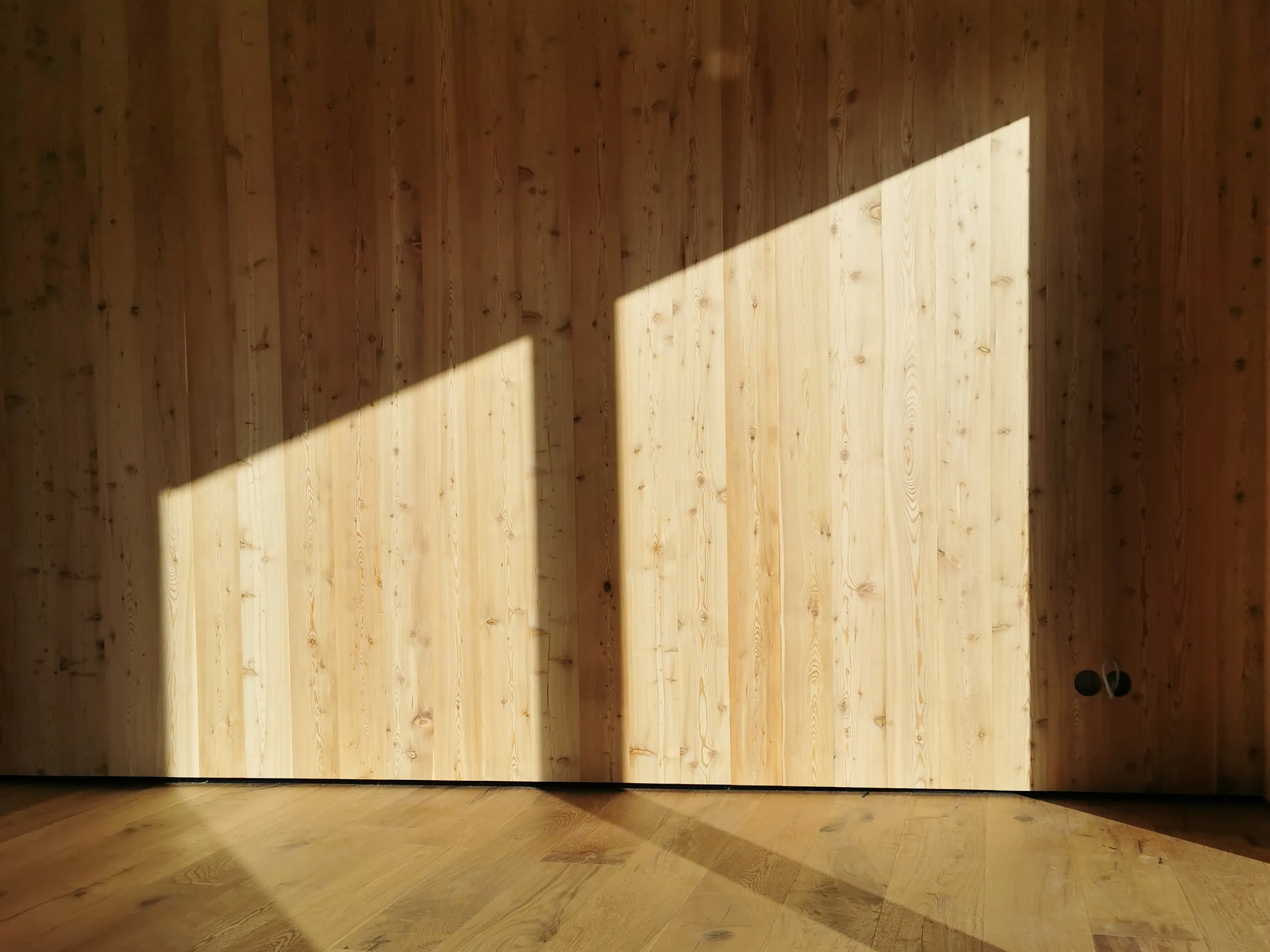 Projekt: Innenausbau Wandverkleidung aus Lärche